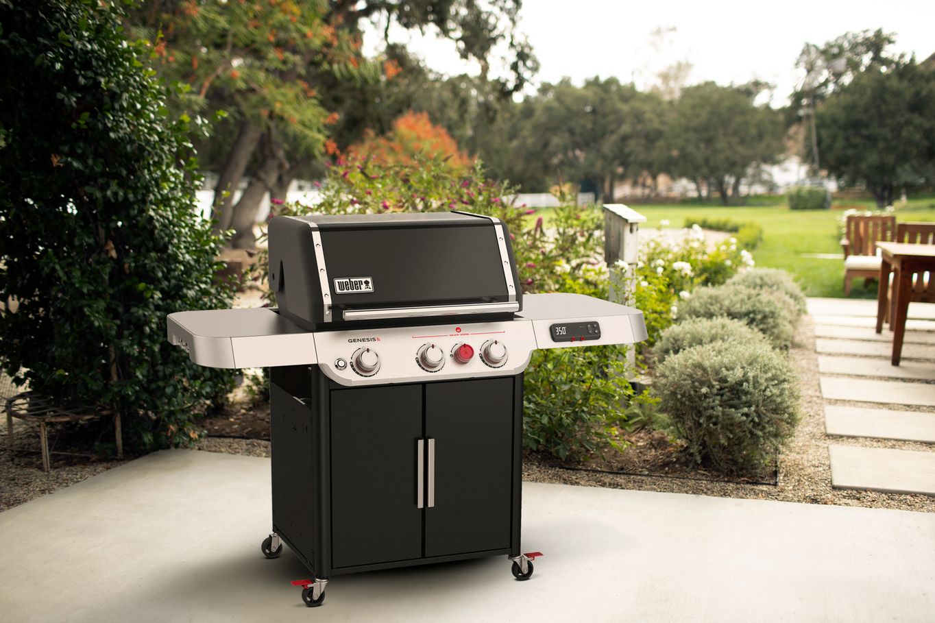 Weber Genesis EX-325s